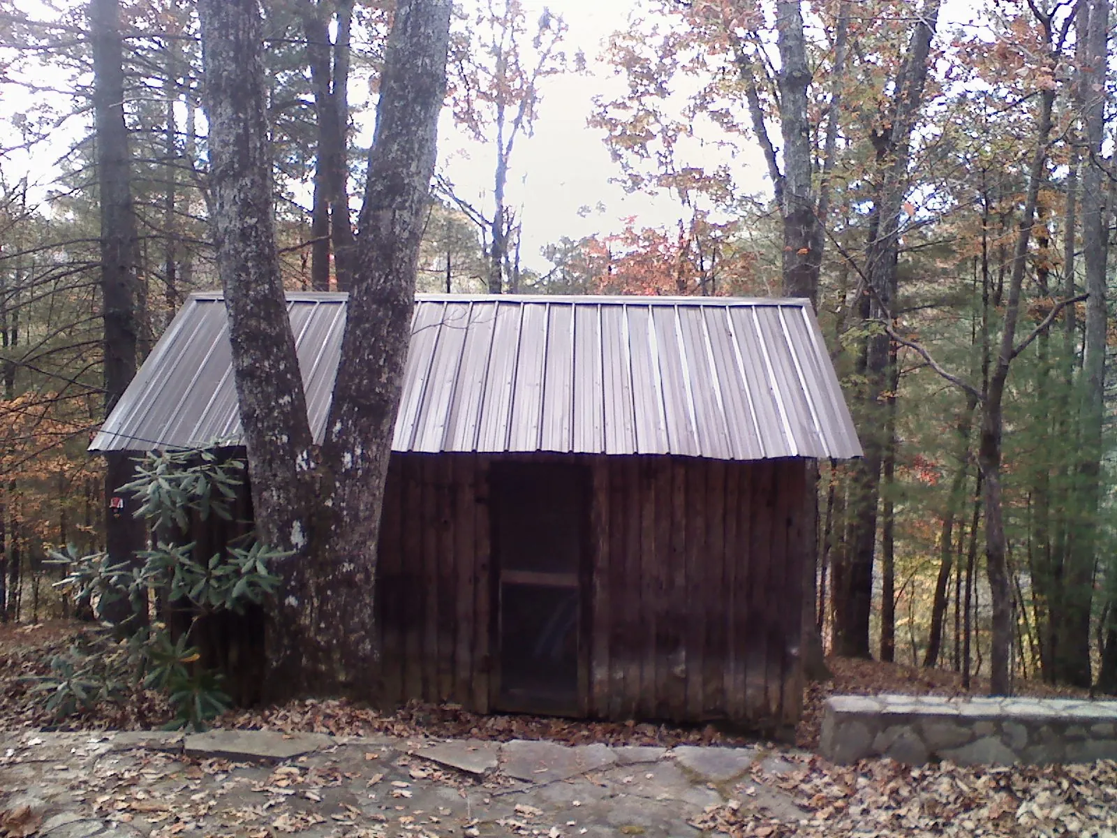 New metal gable roof on a small log shed among the trees in Dighton